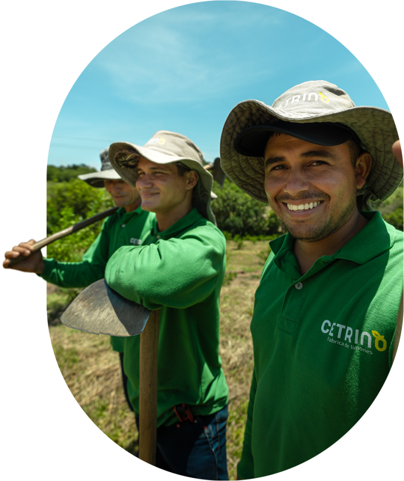 Ambiental_2_0000_Inicio_2