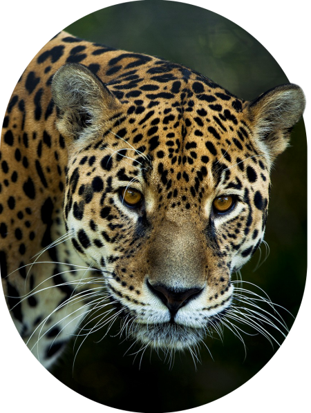 Ambiental_2_0001_Inicio_5